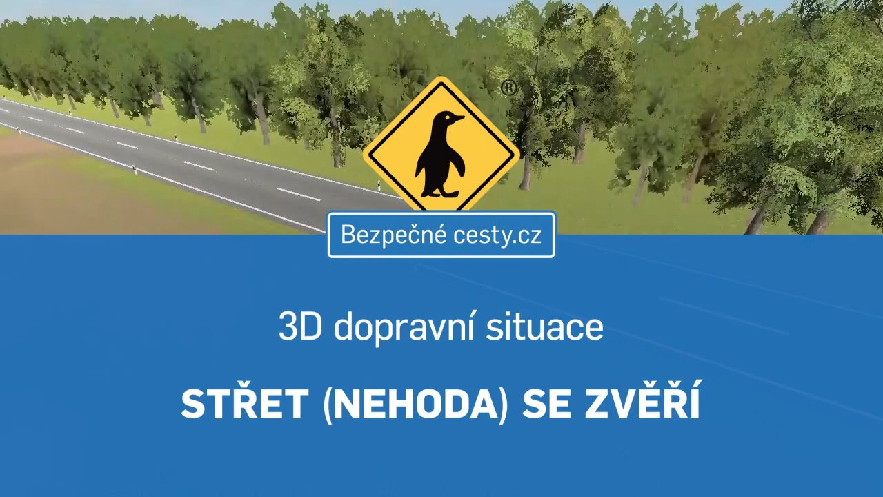 05 Stret nehoda se zveri